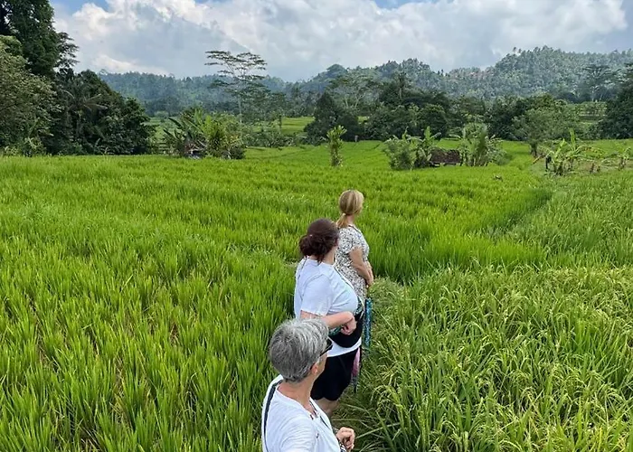 Kanda Séjour chez l'habitant Sidemen (Bali)