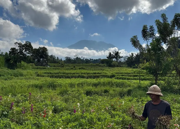 Kanda * Sidemen (Bali)